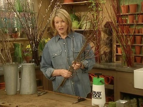 MSL Season 8 Episode 274V