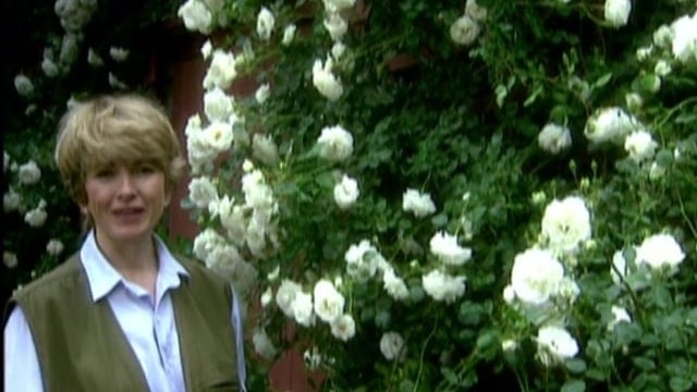 MSL Season 2 Episode 04V