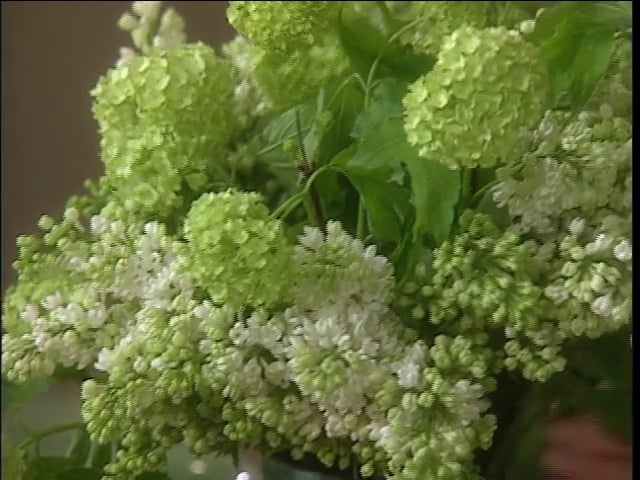 MSL Season 9 Episode 354V