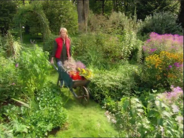 MSL Season 11 Episode 041V