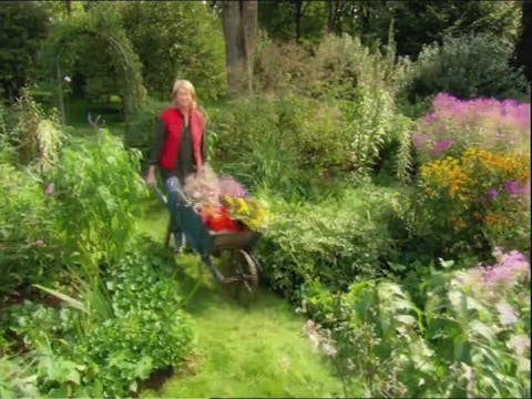 MSL Season 11 Episode 041V