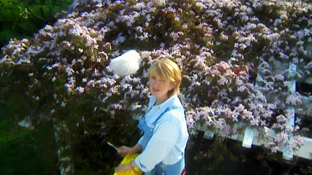 MSL S3 E27 Topiaries, Clematis, Staki...