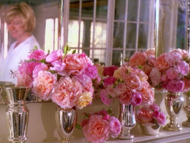 MSL Season 5 Episode 103V