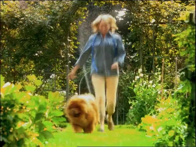 MSL Season 10 Episode 375V