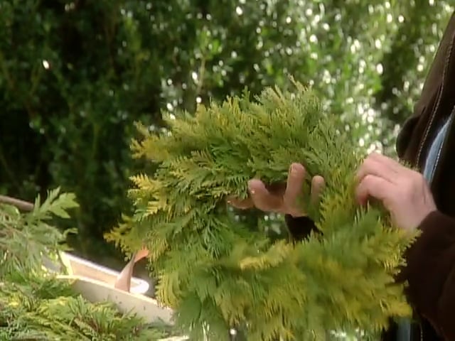 MSL Season 6 Episode 142V