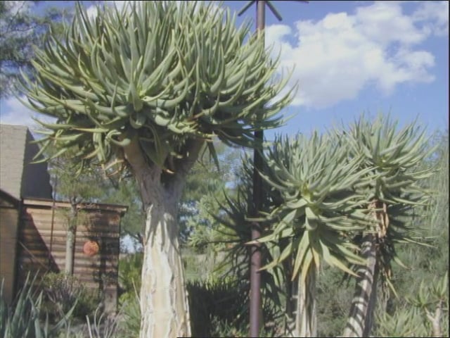 MSL Season 11 Episode 185V