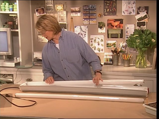 MSL Season 7 Episode 213V