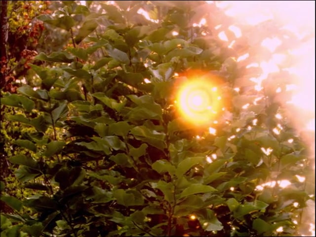 MSL Season 10 Episode 351V