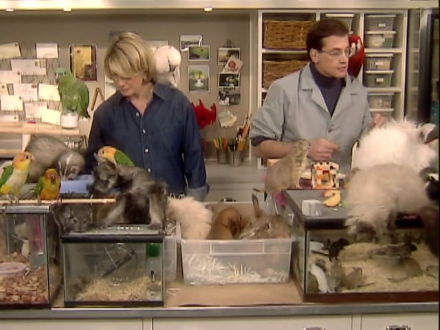 MSL Season 6 Episode 231V