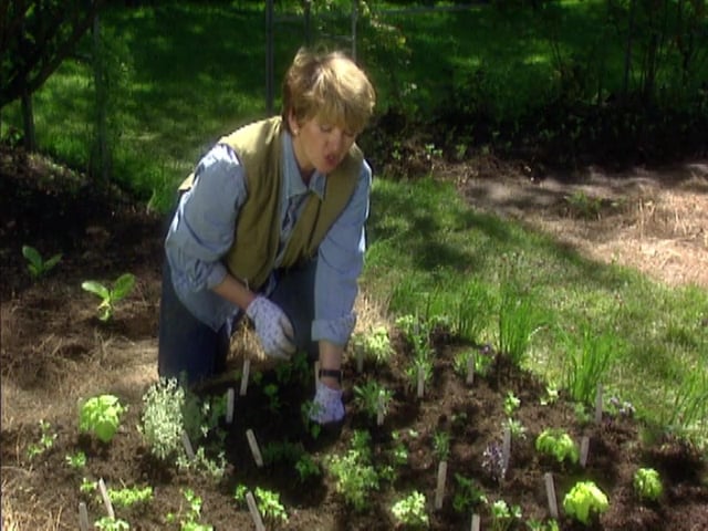 MSL Season 2 Episode 29V