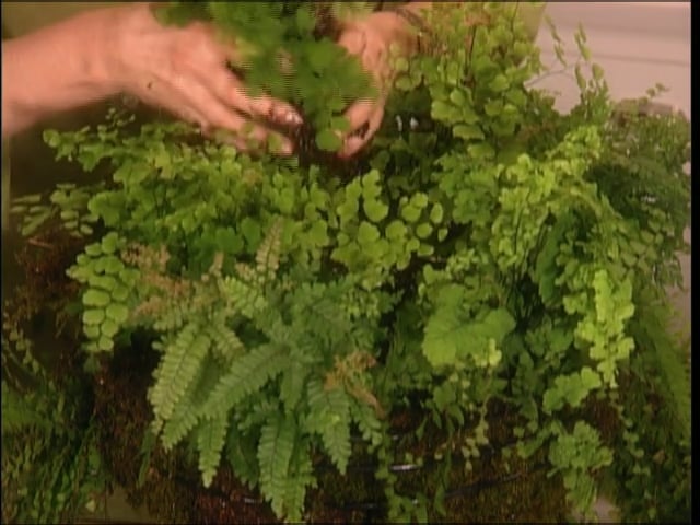 MSL Season 7 Episode 391V