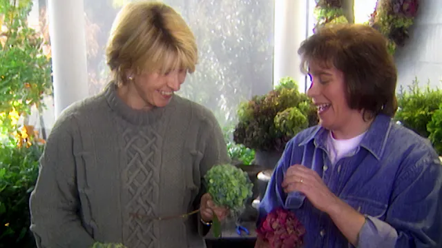 MSL S2 E18 Swiss Meringue, Hydrangea ...