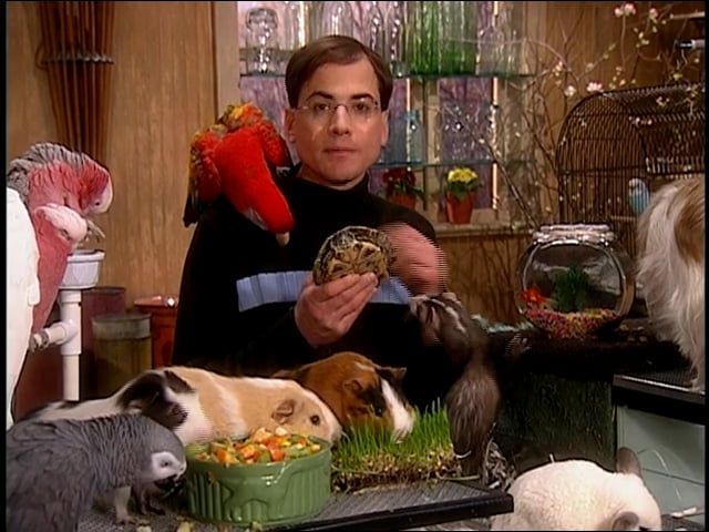 MSL Season 8 Episode 285V