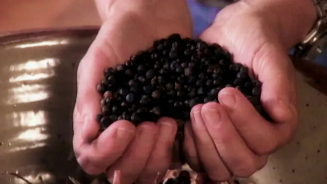 MSL S1 E19 Chocolate Cake with Curls,...