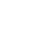 Martha Stewart TV