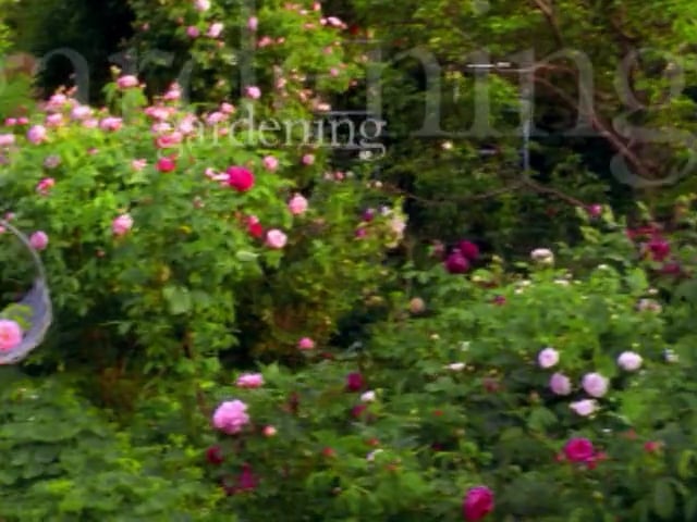 MSL Season 5 Episode 132V