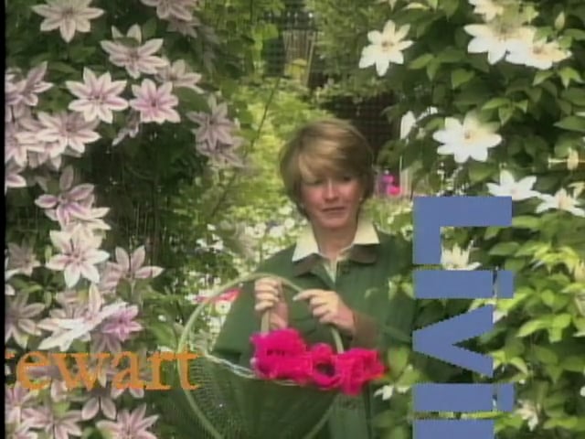 MSL Season 1 Episode 24V