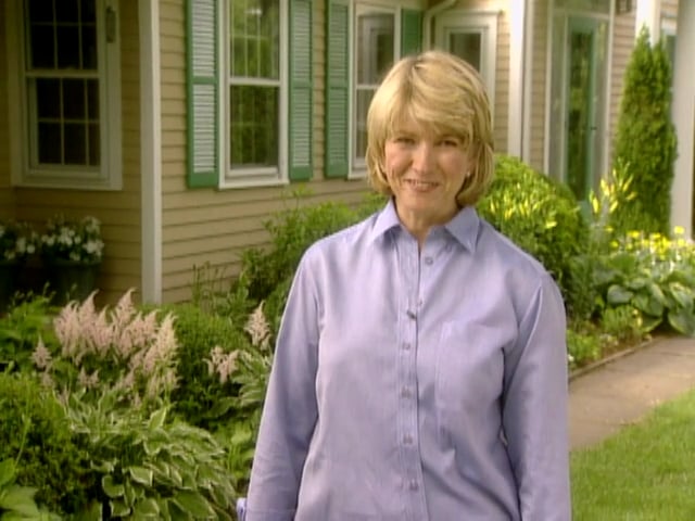 MSL Season 5 Episode 481V