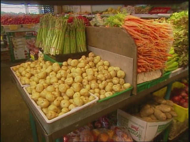 MSL Season 11 Episode 103V