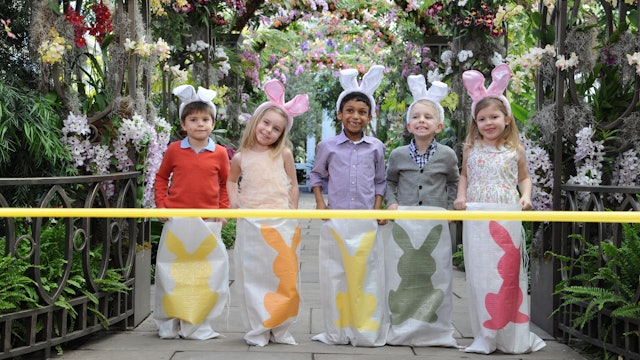 Martha Stewart's Egg-cellent Easter