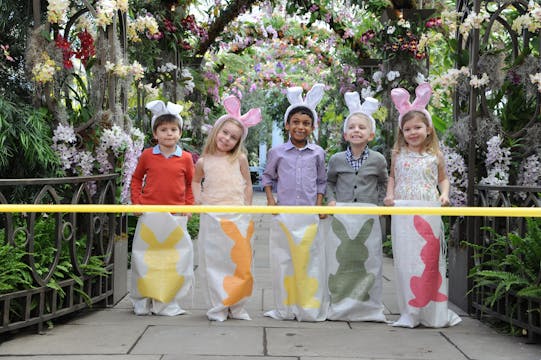 Martha Stewart's Egg-cellent Easter