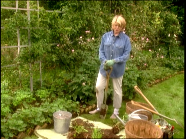 MSL Season 8 Episode 023V