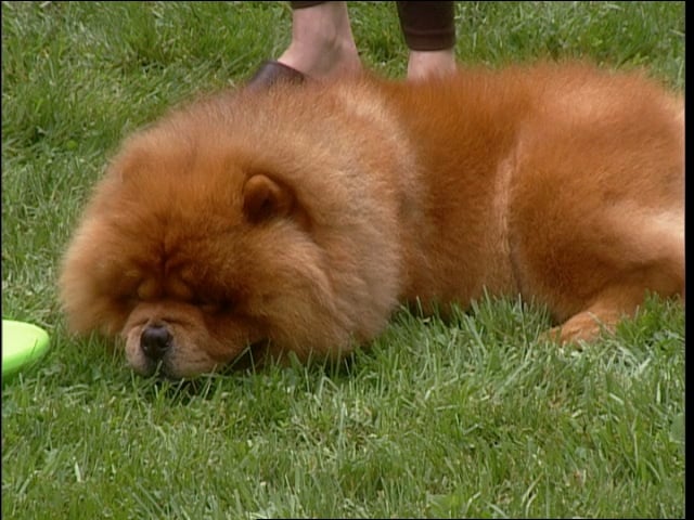 MSL Season 7 Episode 454V