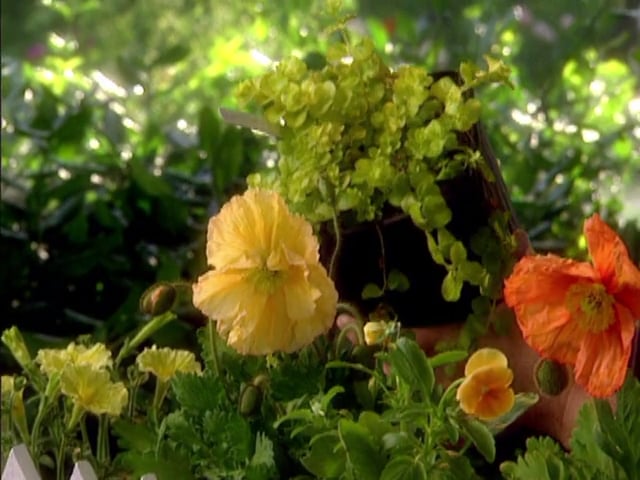 MSL Season 2 Episode 03V