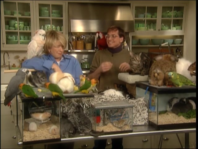 MSL Season 7 Episode 084V