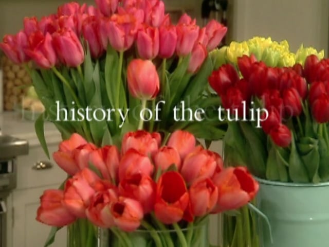 MSL Season 6 Episode 322V