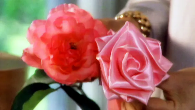 MSL S1 E16 Ribbons and Bows, Peter Ra...
