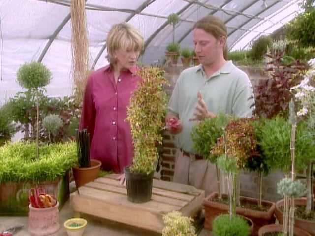 MSL Season 5 Episode 072V