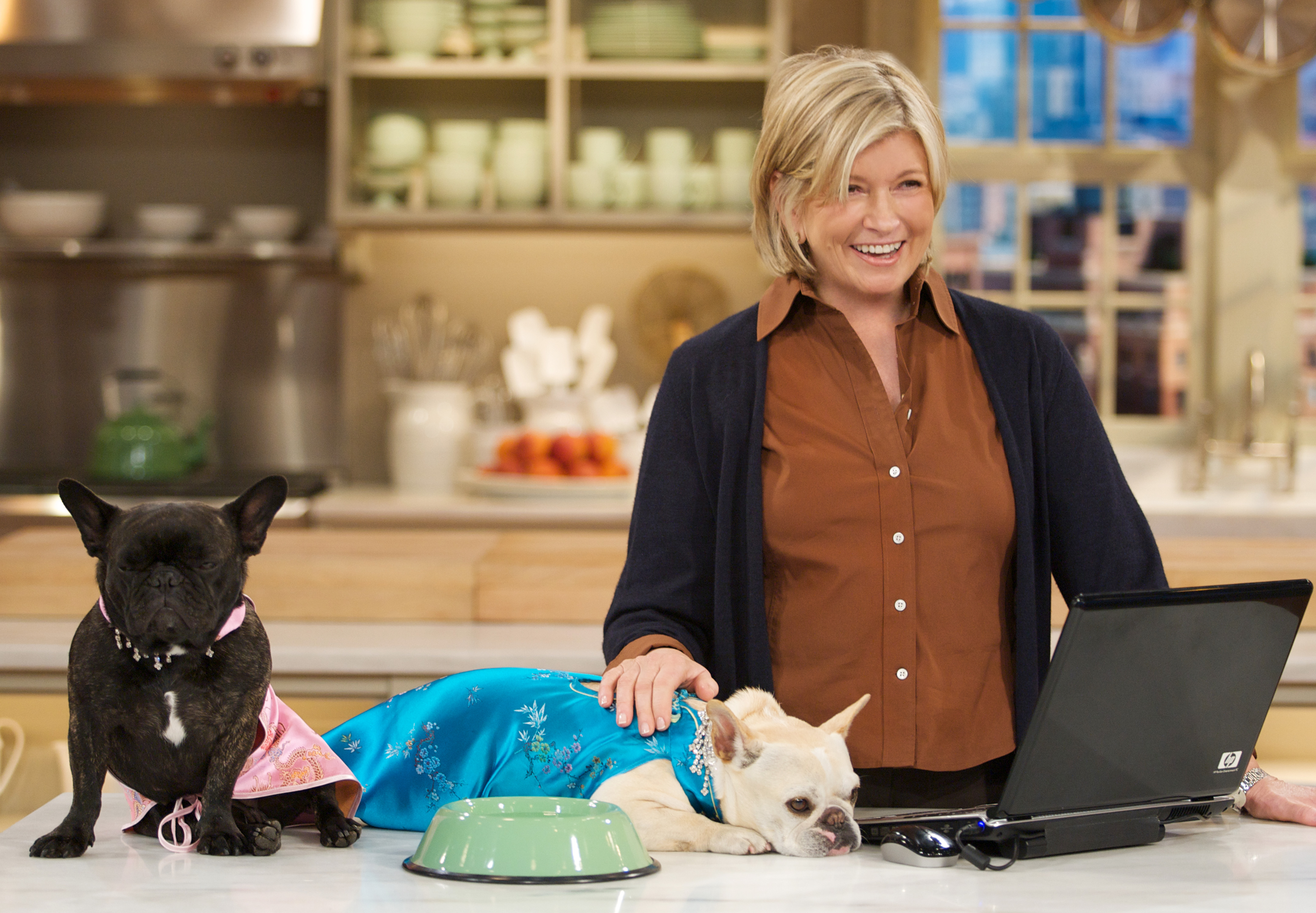 Creature Comforts: Learn How to Keep Your Furry Family Happy and Safe