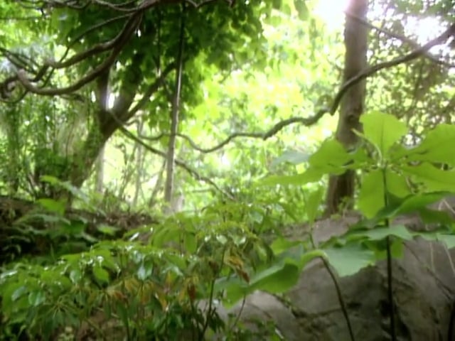 MSL Season 6 Episode 455V