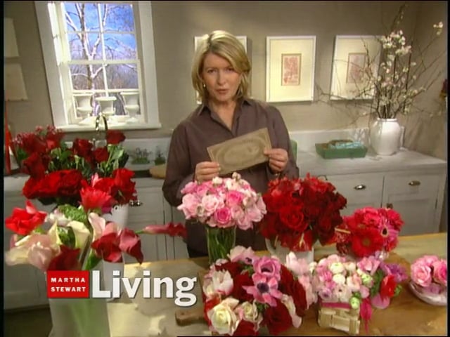 MSL Season 10 Episode 244V