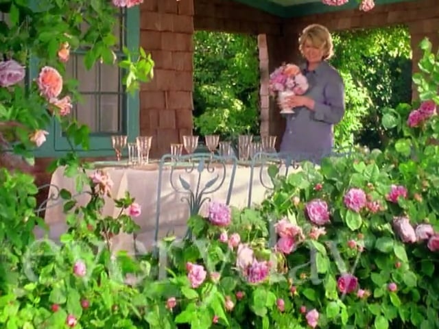 MSL Season 5 Episode 112V