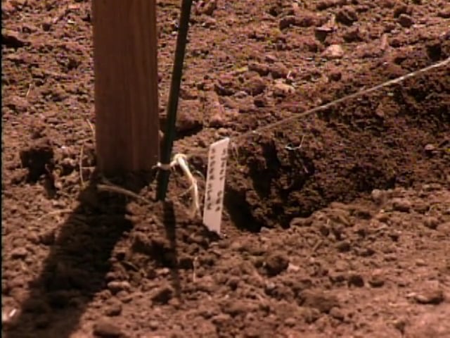 MSL Season 1 Episode 27V