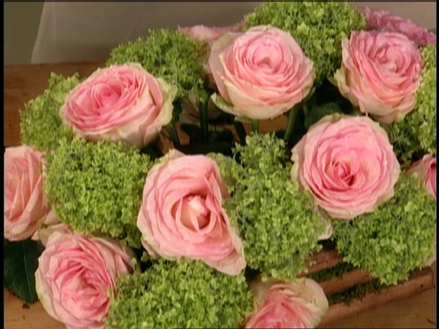 MSL Season 9 Episode 454V