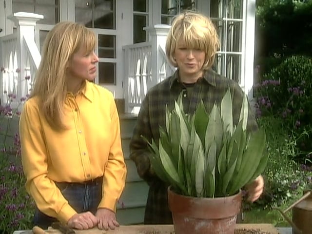 MSL Season 6 Episode 095V