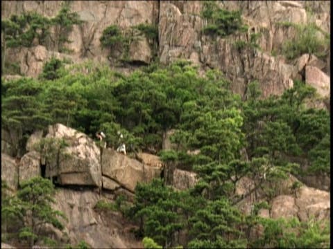 MSL Season 7 Episode 025V