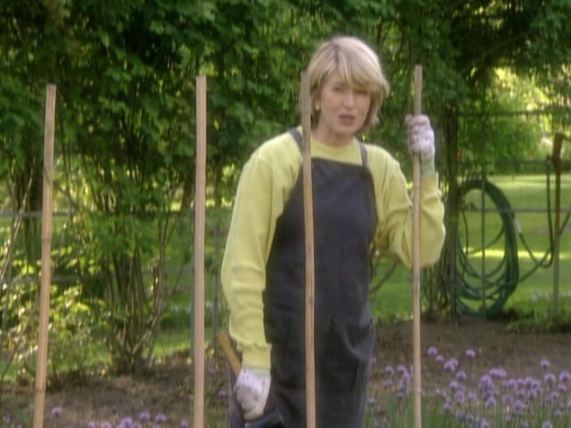 MSL Season 5 Episode 362V