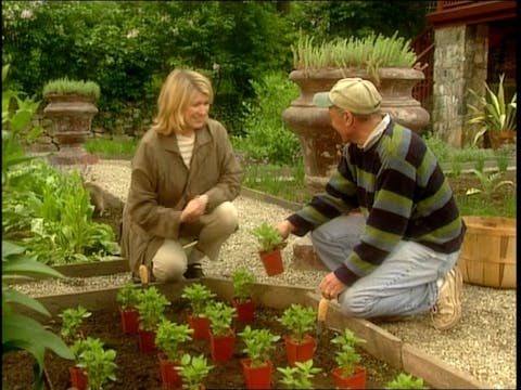 MSL Season 8 Episode 464V