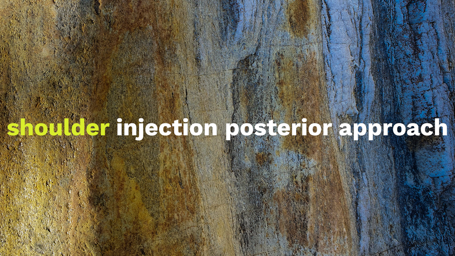 msk-ultrasound Video