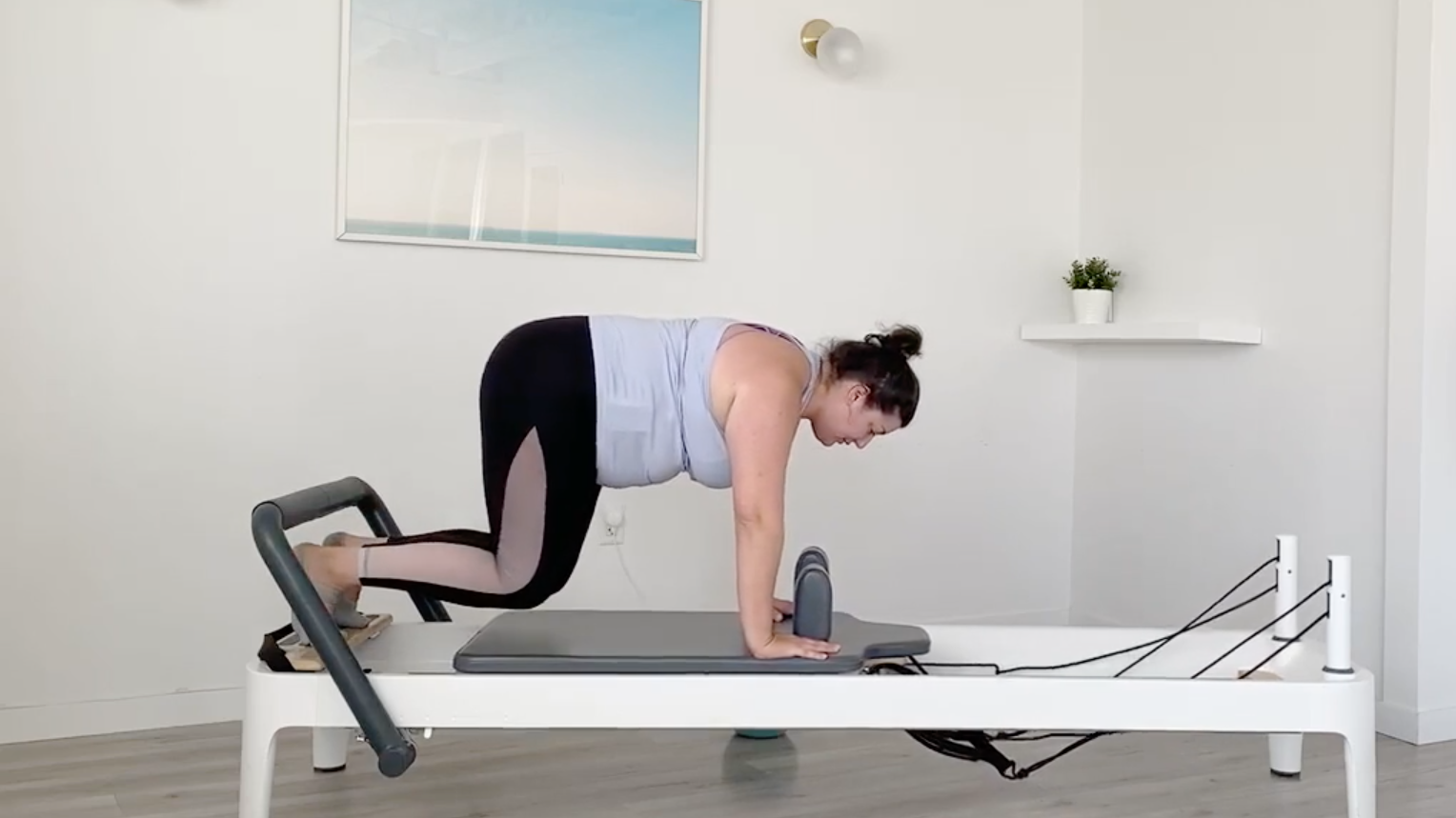 48 Minute Signature Reformer