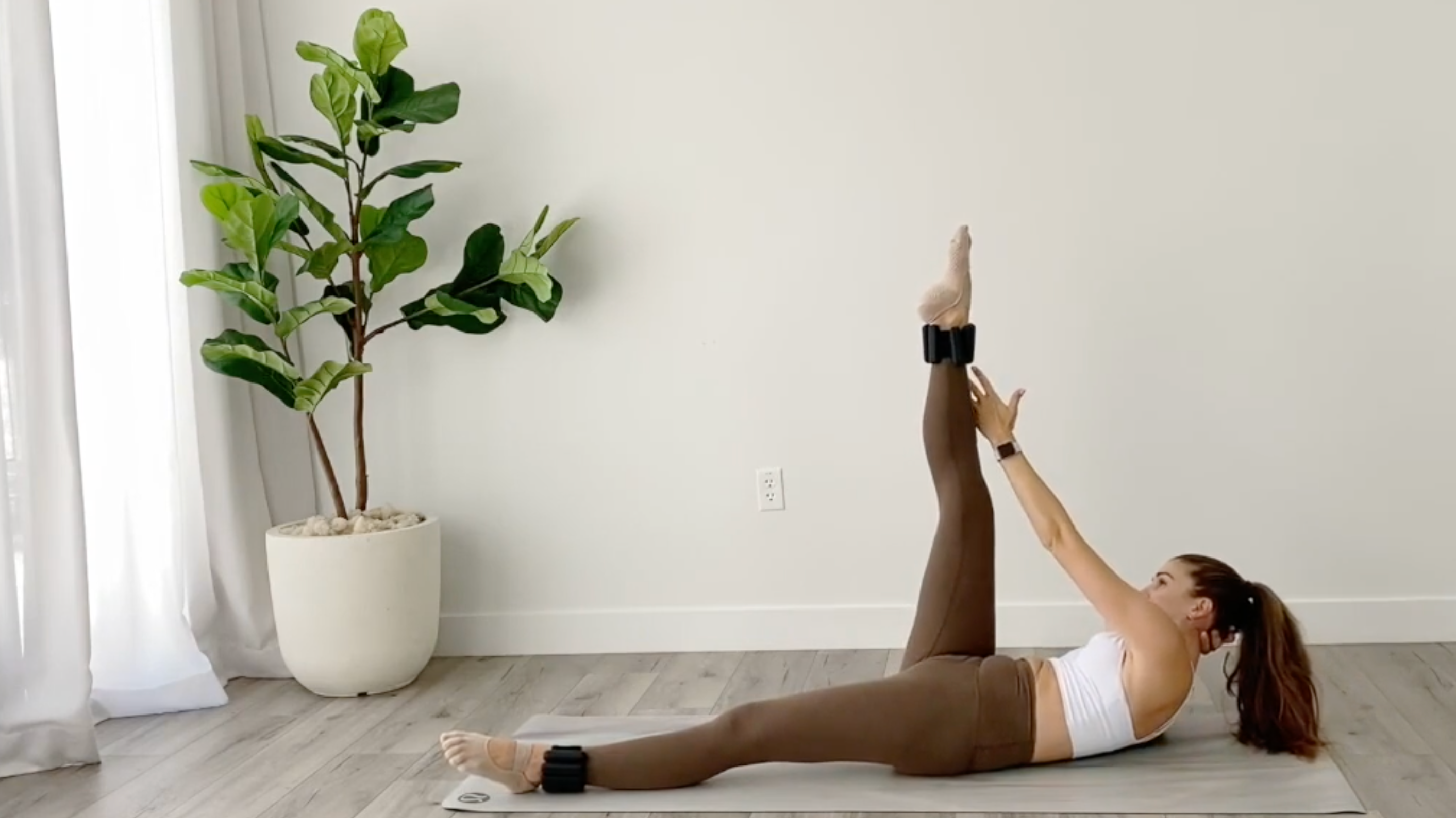 24 Minute Abs and Legs Using Ankle Weights