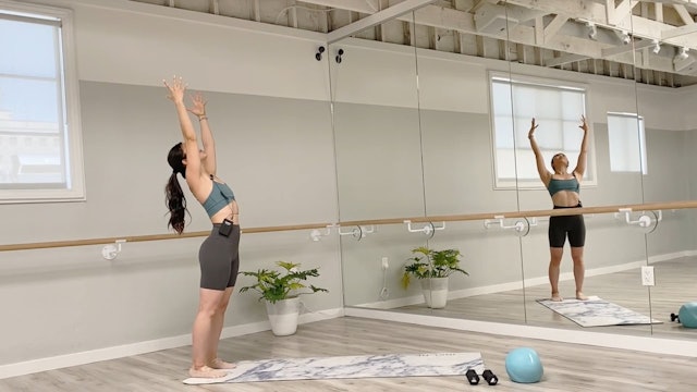 27 Minute MNTbarre Using a Ball and Weights