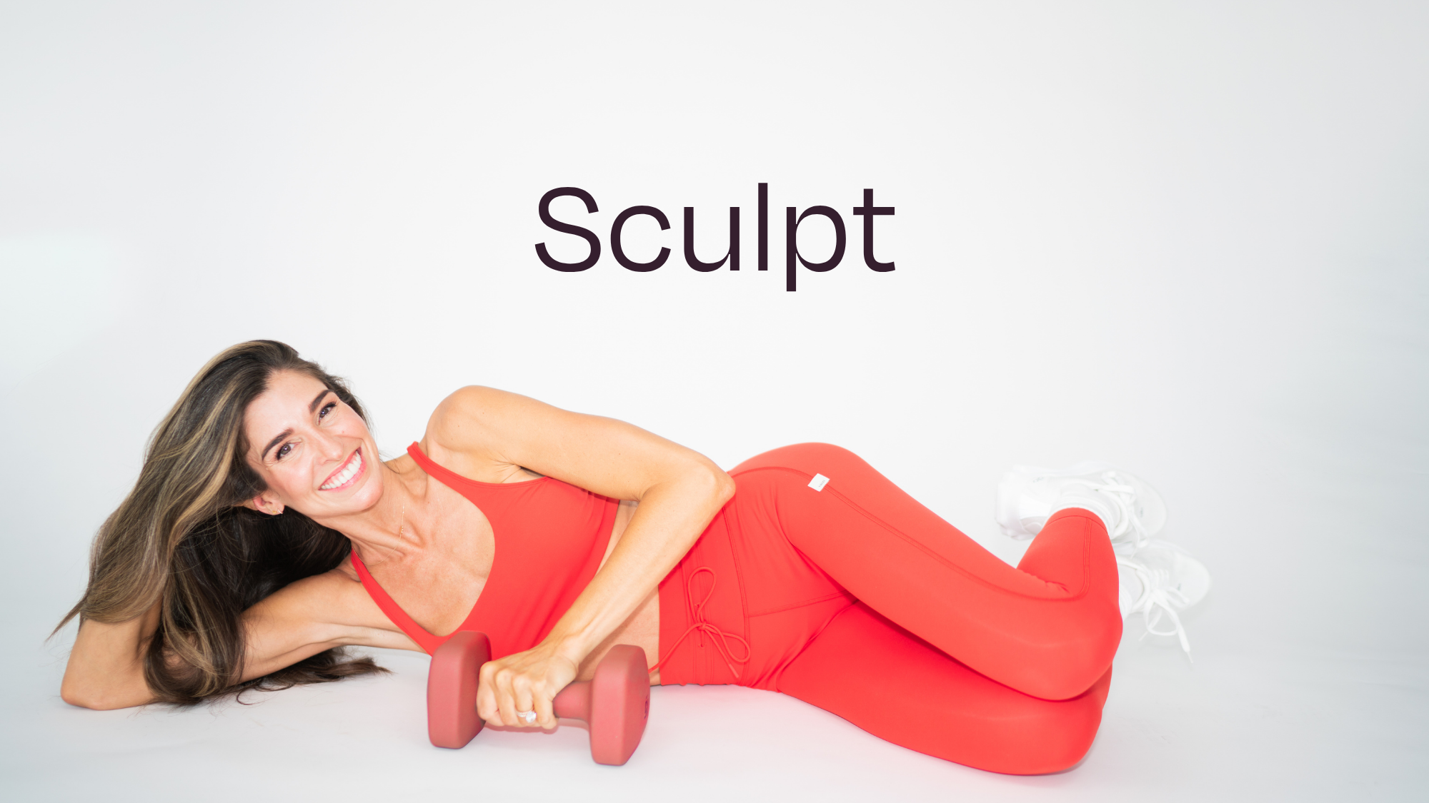 SCULPT PROGRAM