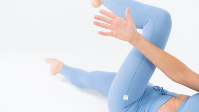 PP Pelvic Floor and TVA Breakdown