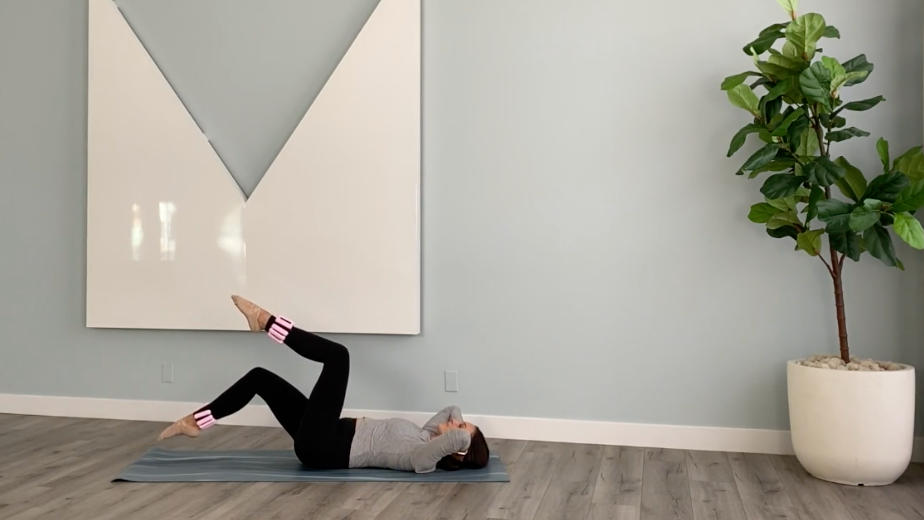 41 Minute Full Body Mat Pilates 