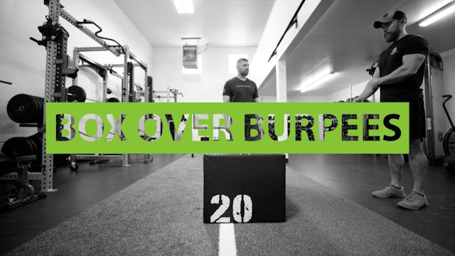 MTNTOUGH Form - BOX OVER BURPEES